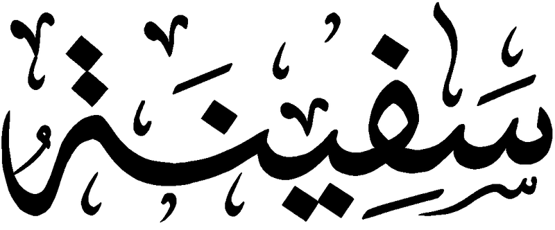 Файл:Safinat.png